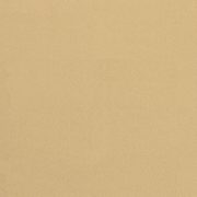 CERESIT CT60 VISAGE 0,5mm 25kg – Dominicana Beige