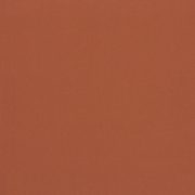 CERESIT CT60 VISAGE 0,5mm 25kg – Ravenna Red