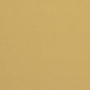 CERESIT CT60 VISAGE 0,5mm 25kg – Sicilia Yellow
