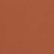 CERESIT CT60 VISAGE 0,5mm 25kg – Utah Red